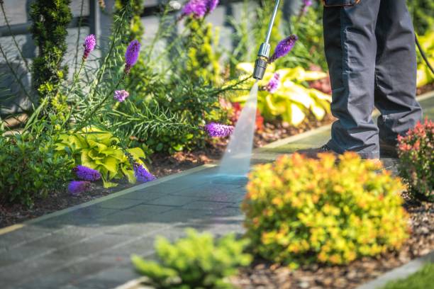 Best Driveway Pressure Washing  in Totowa, NJ